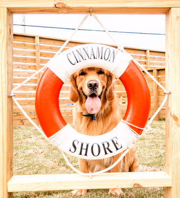 Sandy Paws Dog Park